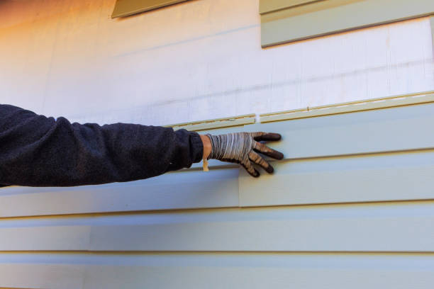 Affordable Siding Repair and Maintenance Services in Converse, TX