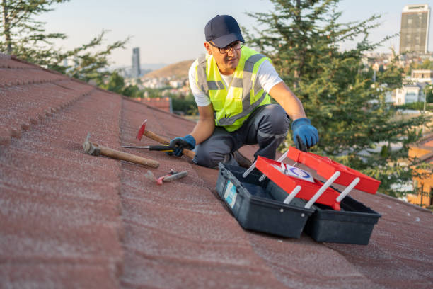 Best Brick Veneer Siding  in Converse, TX